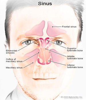 Sinus Surgery New York, Septoplasty NYC Sinusitis Surgeon