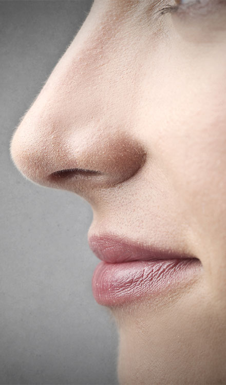 upturned nose profile
